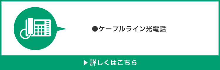 適用条件