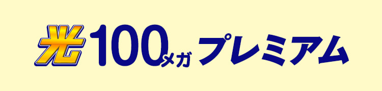 光100メガプレミアム