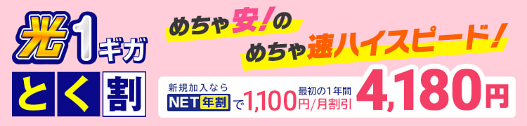 インターネットサービスプラン 速度 変更 Kブロードフォン加入 解約 あなたの街のケーブルテレビ Kcn京都