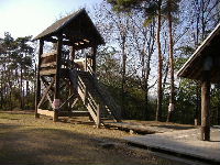 0904-13.jpg