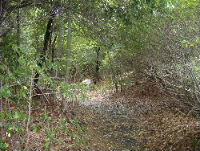 0907-5.jpg
