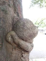 new_2012-7-3.jpg